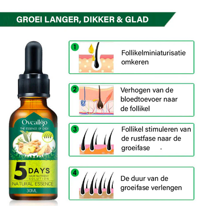 Oveallgo™ Shouga Essence Haargroeiolie